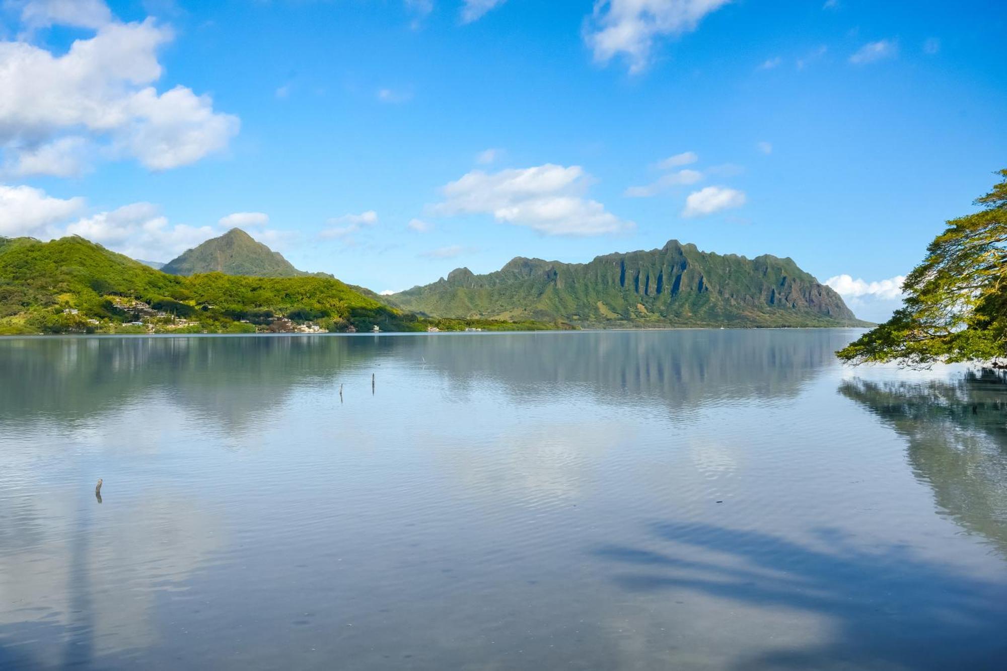 Paradise Bay Resort Kaneohe Exterior foto